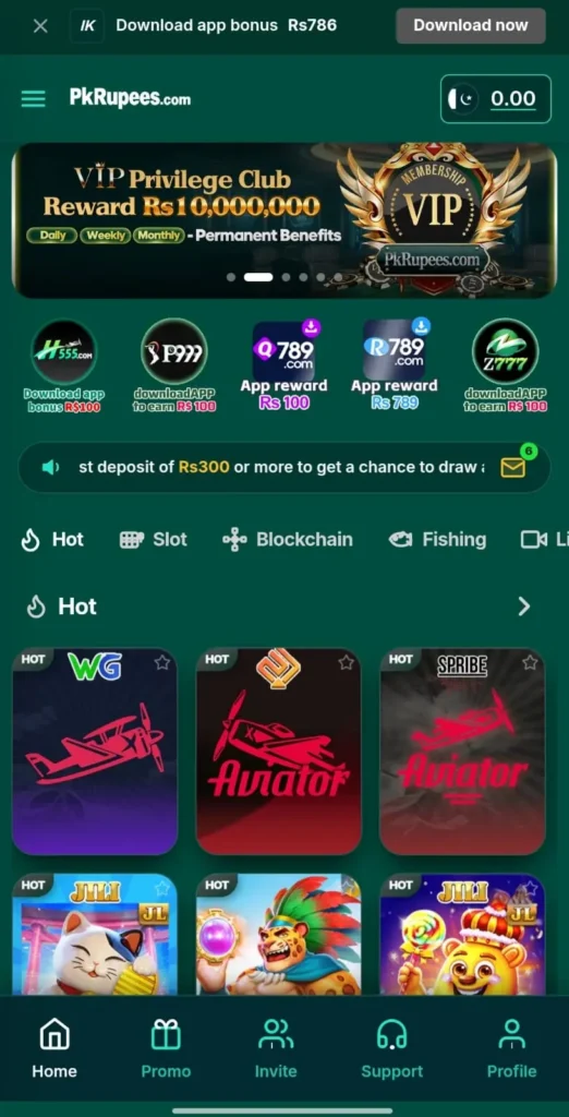 Archived PKRupees interface overview
